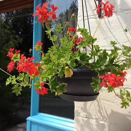 Holiday home La Cahudiere *