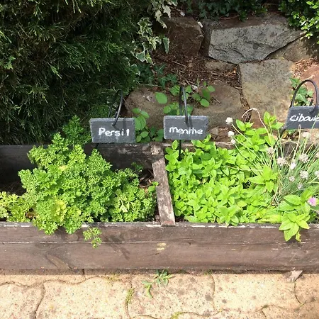 Holiday home La Cahudiere Saint-Martin-de-Landelles