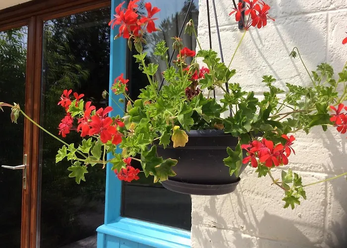 Hébergement de vacances La Cahudiere *