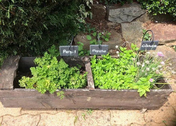 Hébergement de vacances La Cahudiere Saint-Martin-Landelles